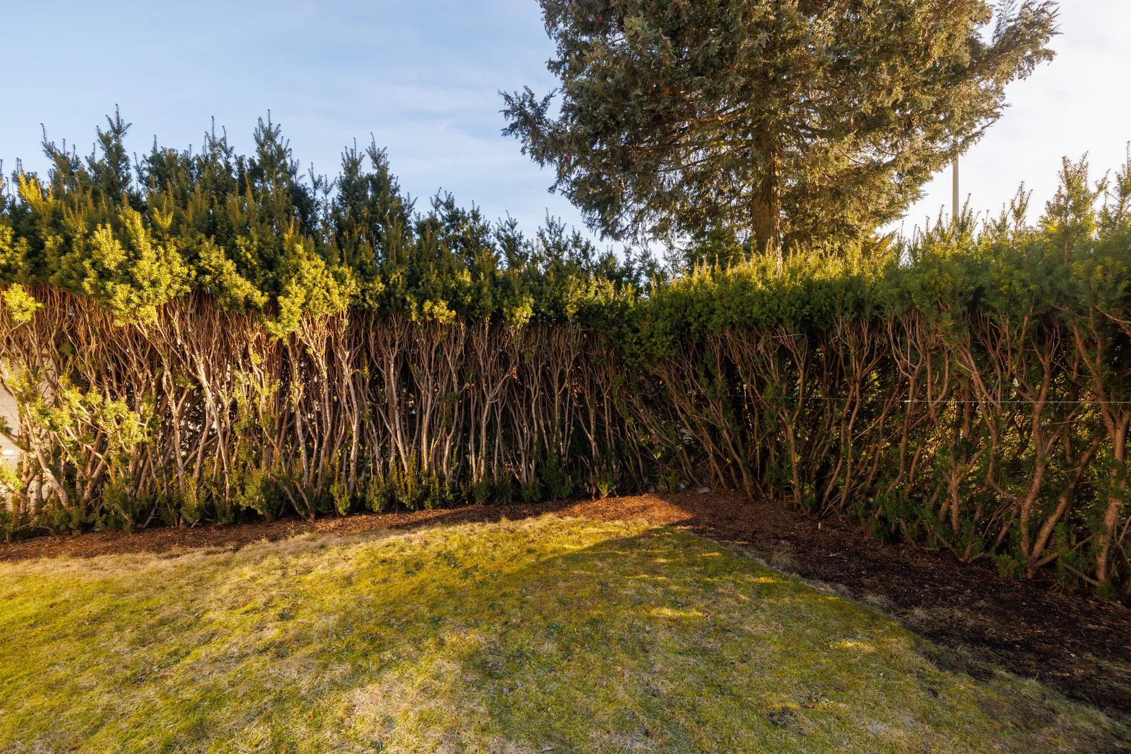 Villa, Ronnebygatan 20, Brunnsgärdet, Örebro