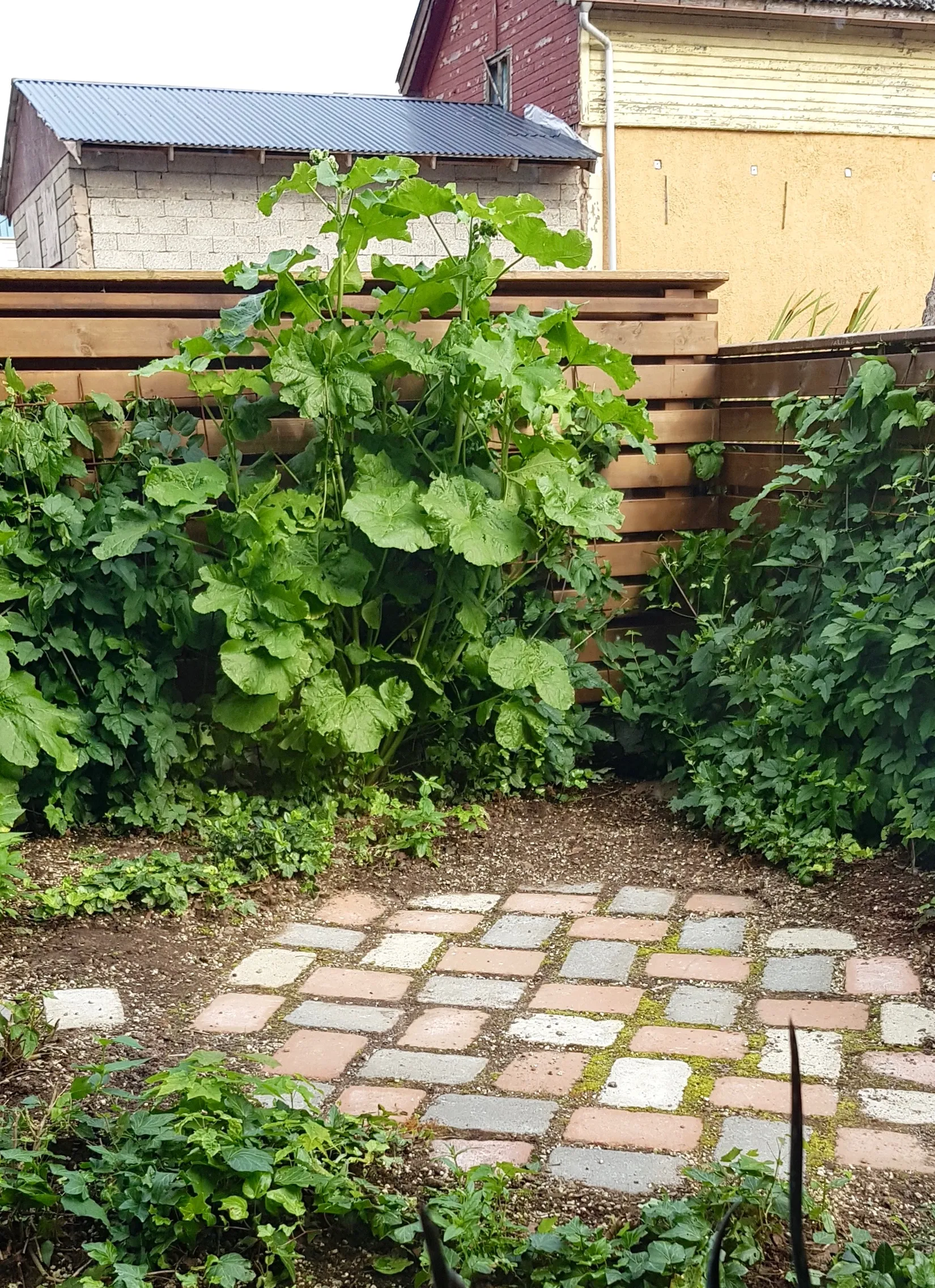 Bostadsrätt, Edsgatan 24 D, Nordstan, Vänersborg