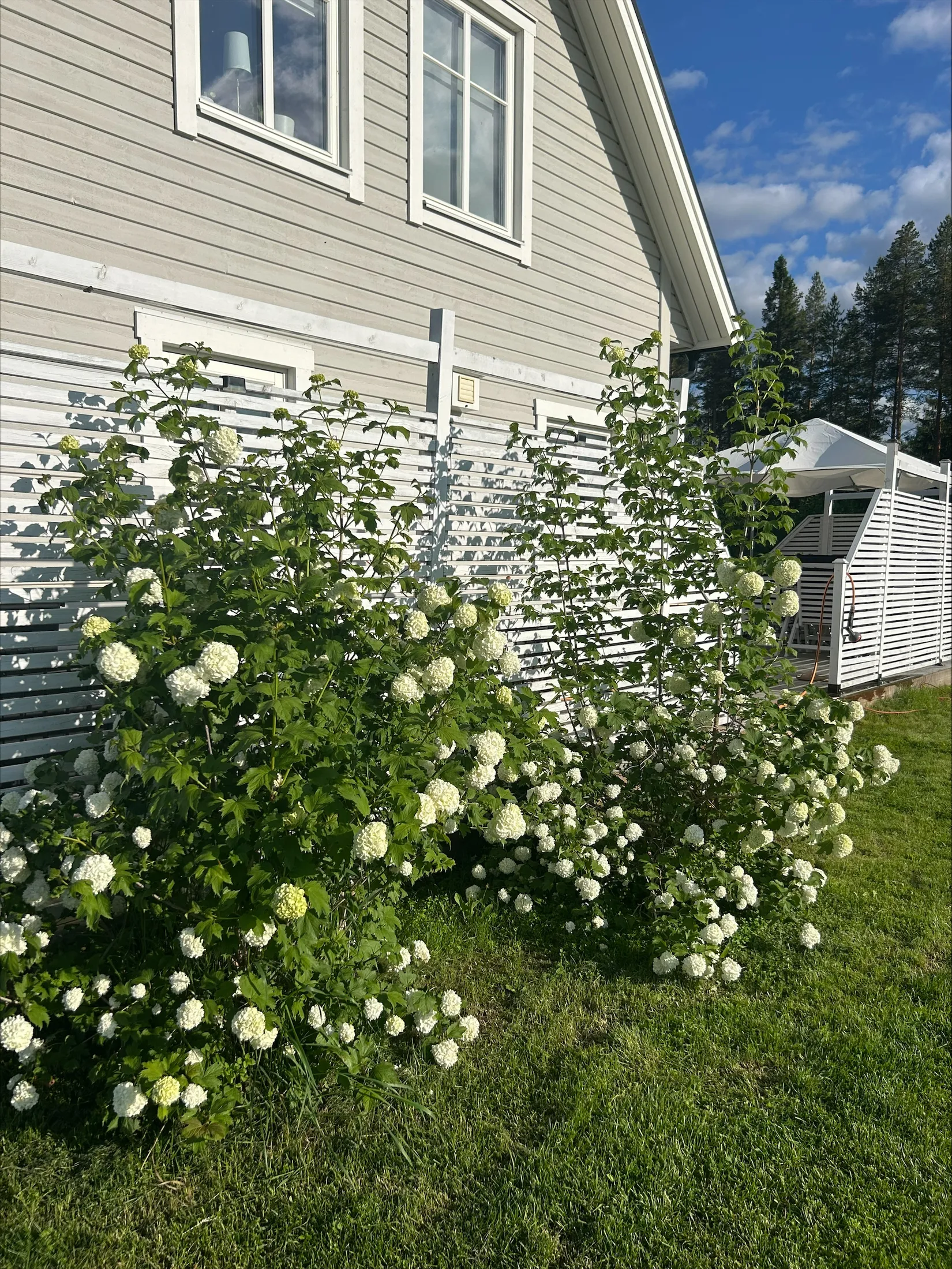 Villa, Hästbyvägen 12, Hästbyn, Boden