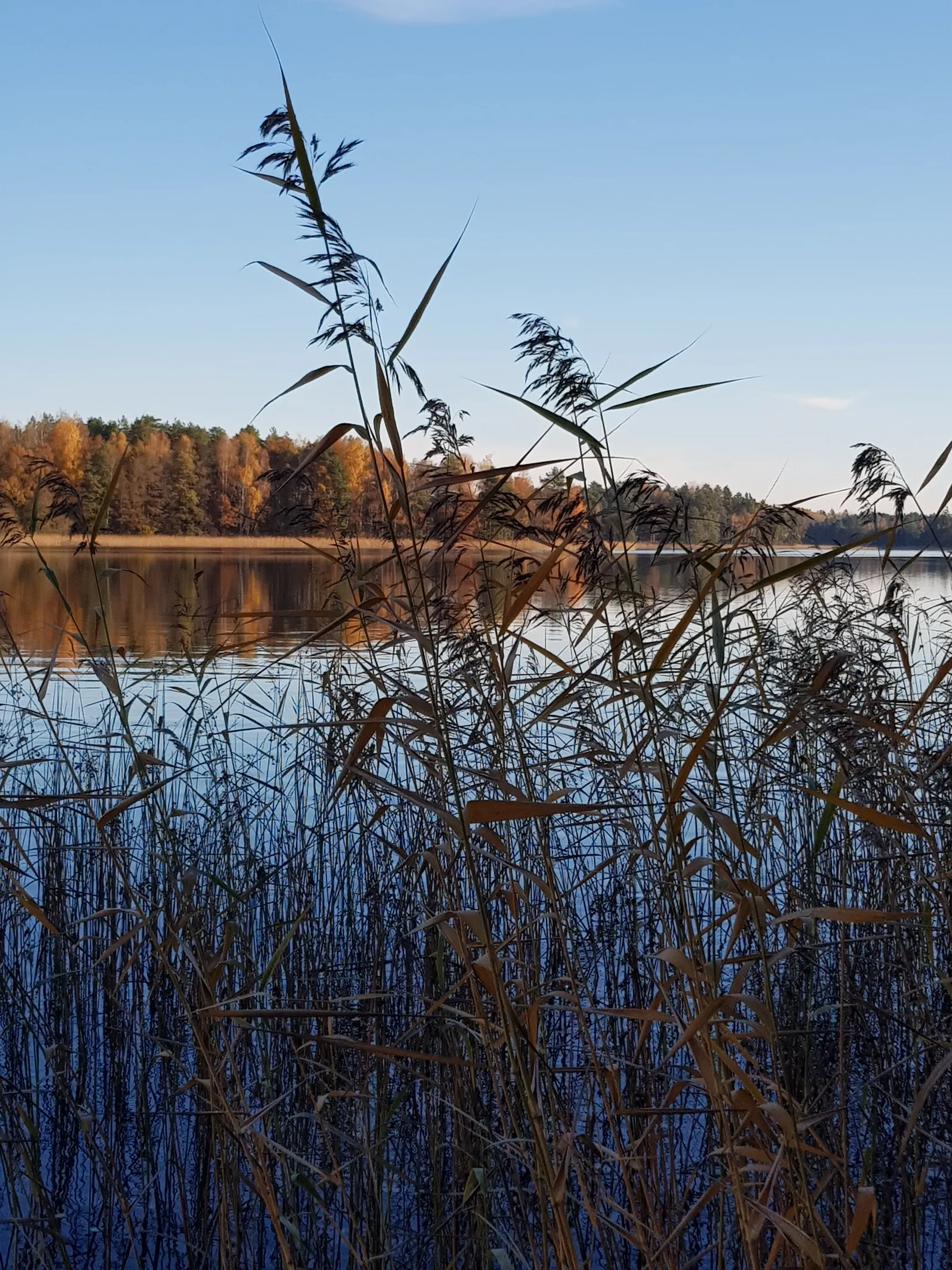 Villa, Skedevivägen 1, Hävla, Finspång