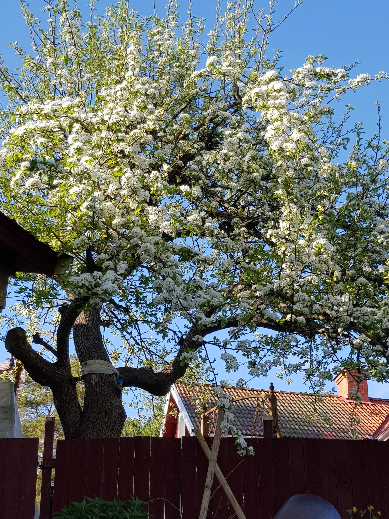 Villa, Skedevivägen 1, Hävla, Finspång