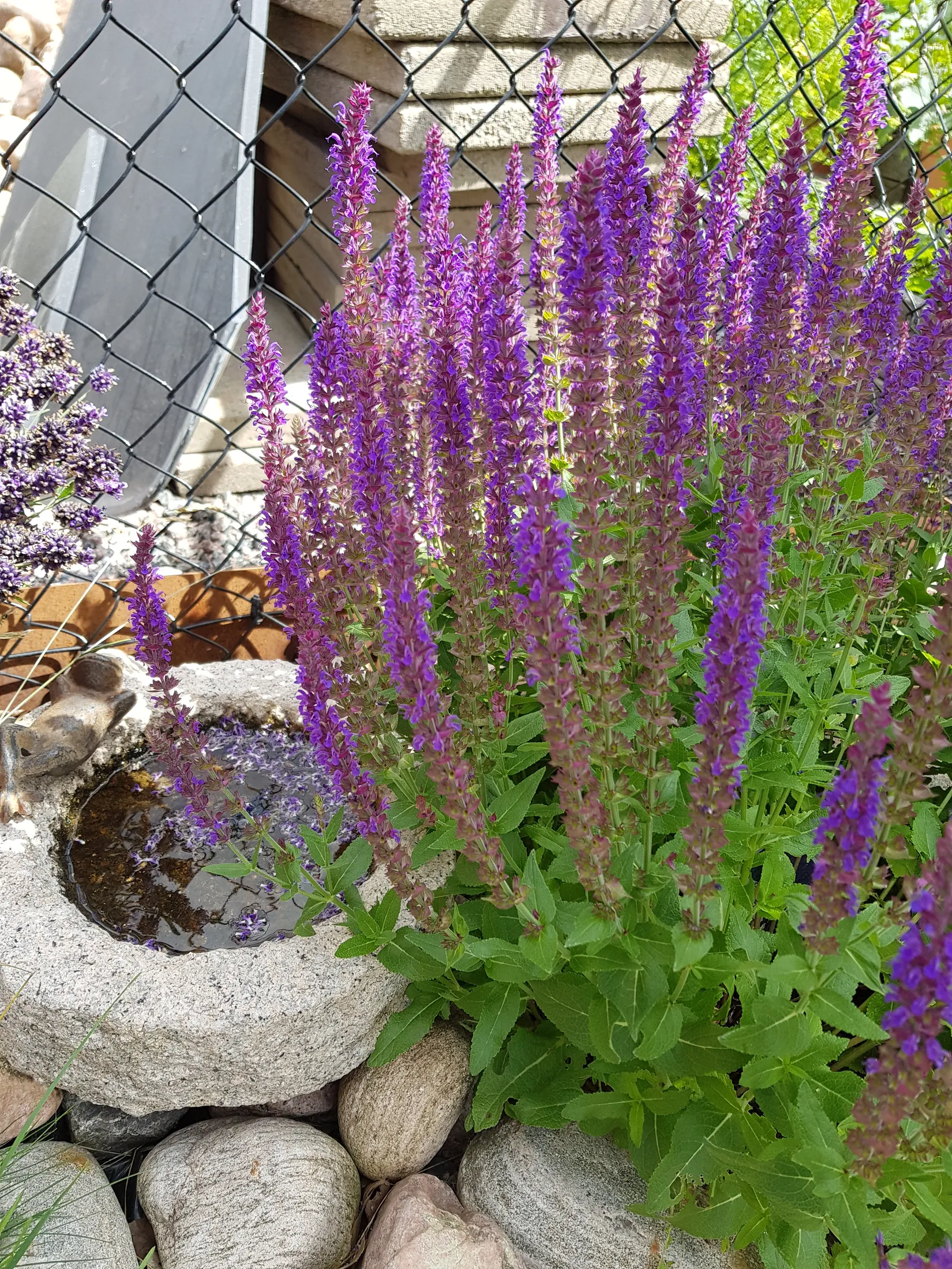 Villa, Skedevivägen 1, Hävla, Finspång