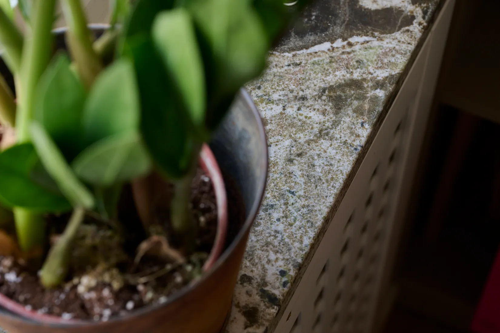 Bostadsrätt, Carl Larssonsgatan 4B, Örgryte, Göteborg