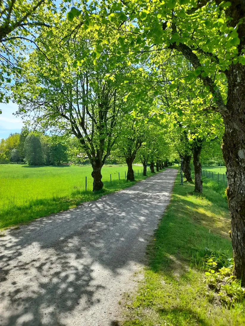 Gård/Skog, Bäve Groröd 220, Uddevalla