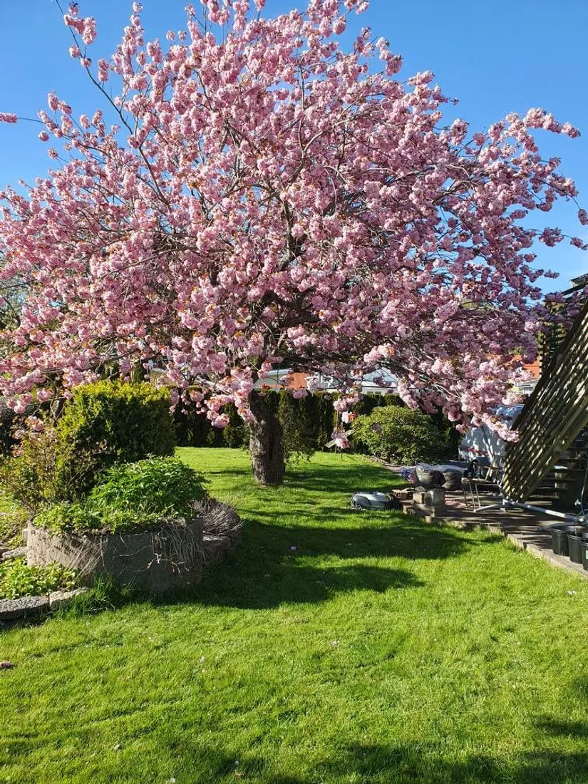 Villa, Nordgärdesvägen 14, Ale