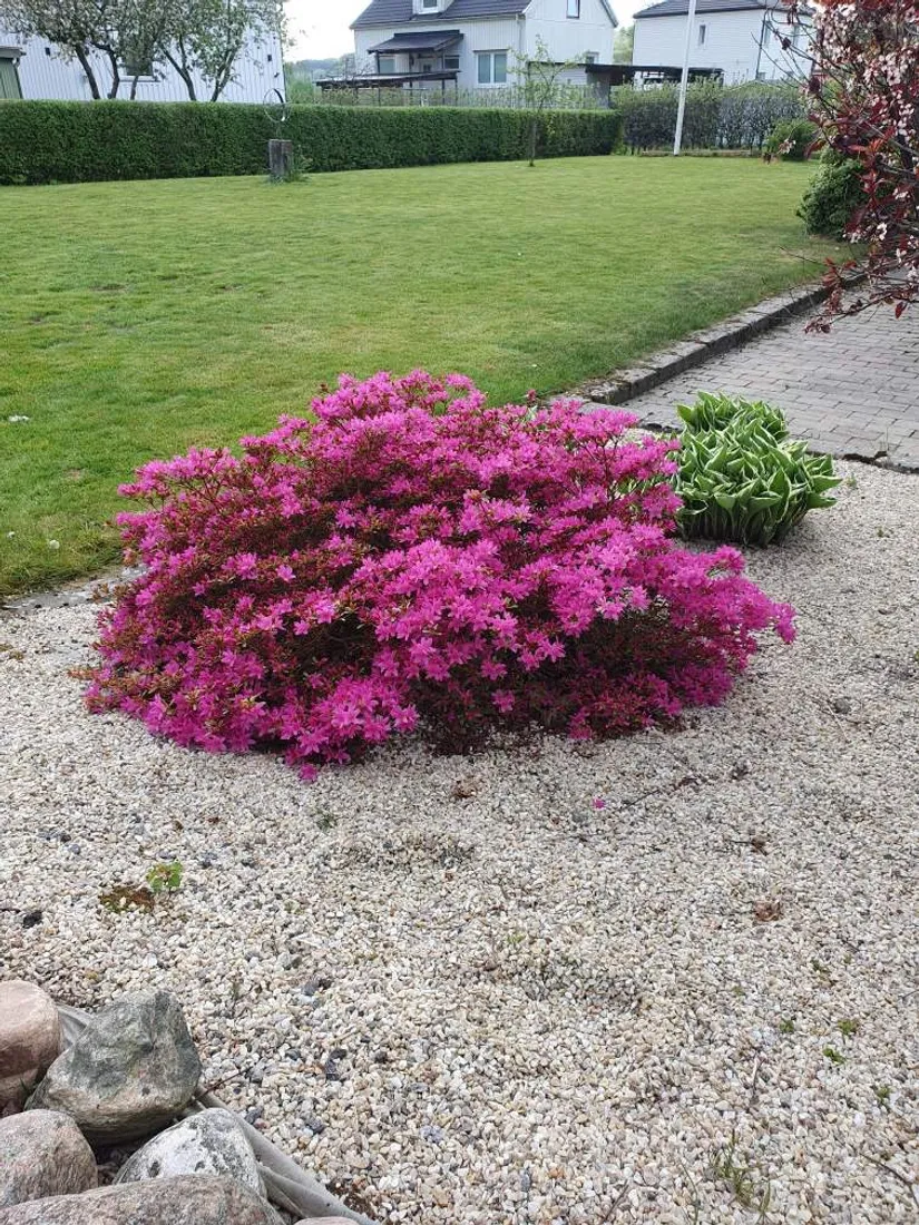 Villa, Nordgärdesvägen 14, Ale