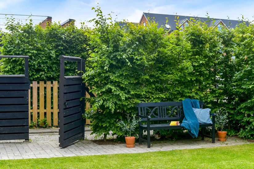 Bostadsrätt, Radhus, Åbrinksvägen 42, Sankt Lars, Lund