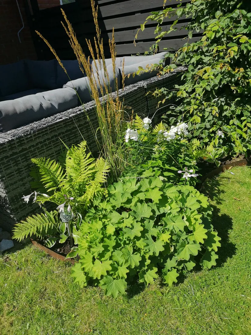 Bostadsrätt, Radhus, Åbrinksvägen 42, Sankt Lars, Lund