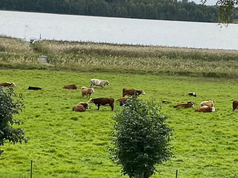 Villa, Väsbyholmsvägen 48, Mälarbaden, Eskilstuna