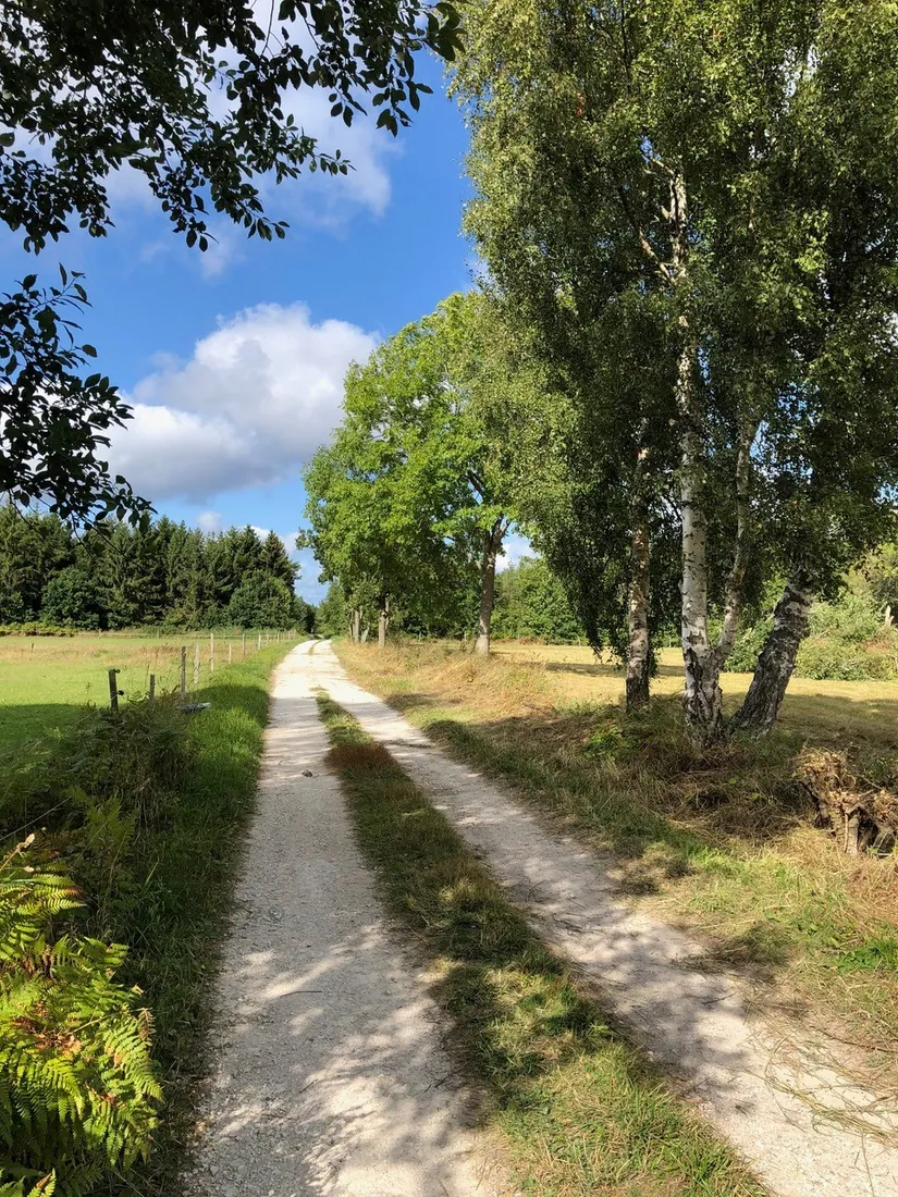 Tomt, Lummelunda Nygranne 185D, Lummelunda, Gotland