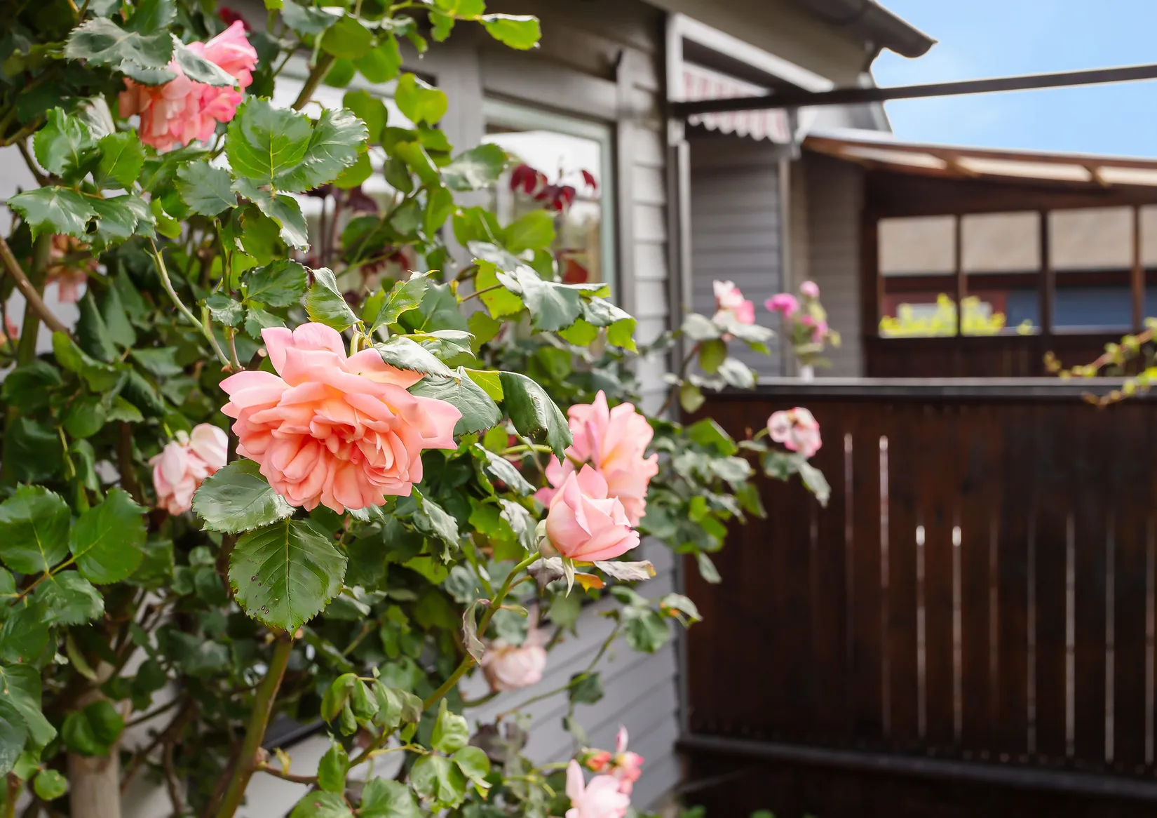 Fritidshus, Rosengången 31, Östra Sommarstaden , Ystad