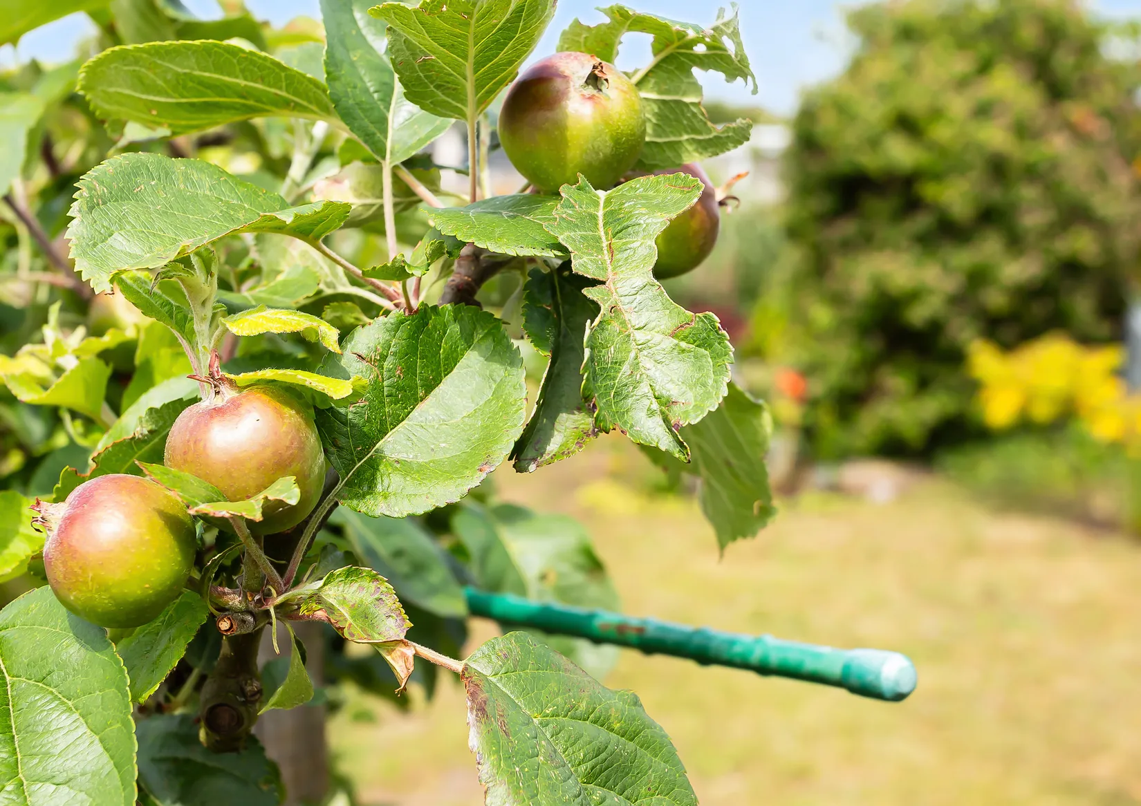 Fritidshus, Rosengången 31, Östra Sommarstaden , Ystad
