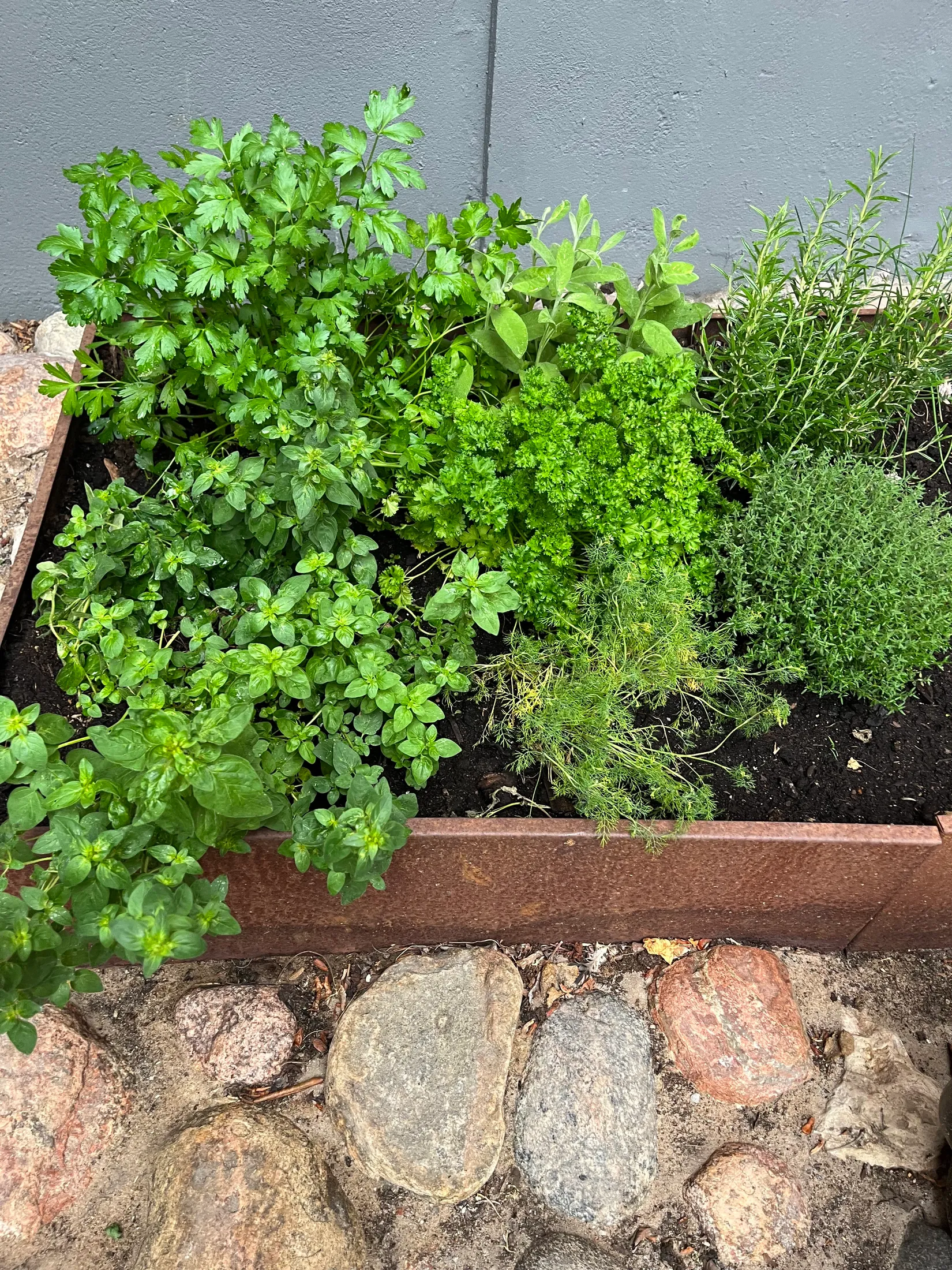 Bostadsrätt, Stenvinkelsgatan 9a, Centrum, Halmstad