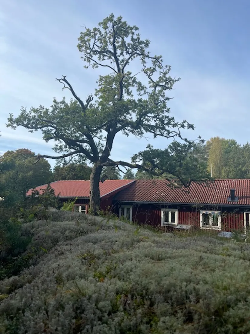 Villa, Aspö Solvik 1, Strängnäs