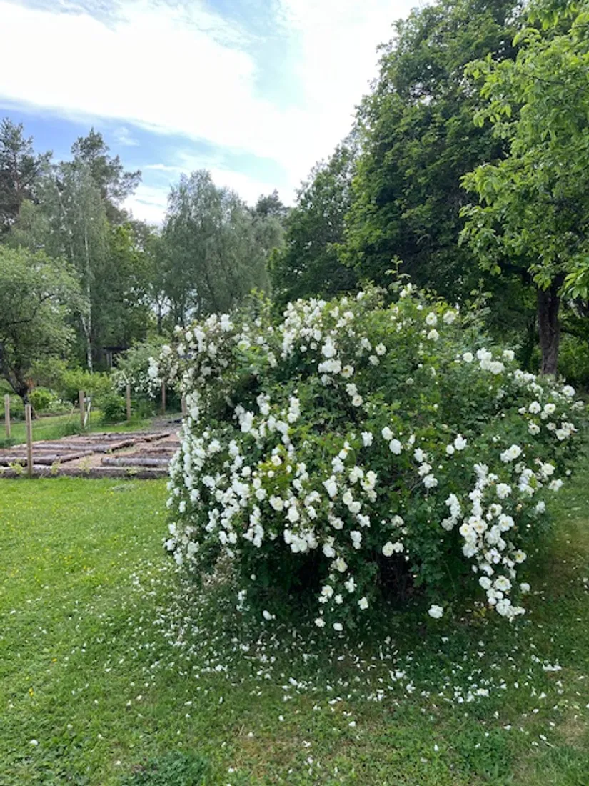 Villa, Aspö Solvik 1, Strängnäs