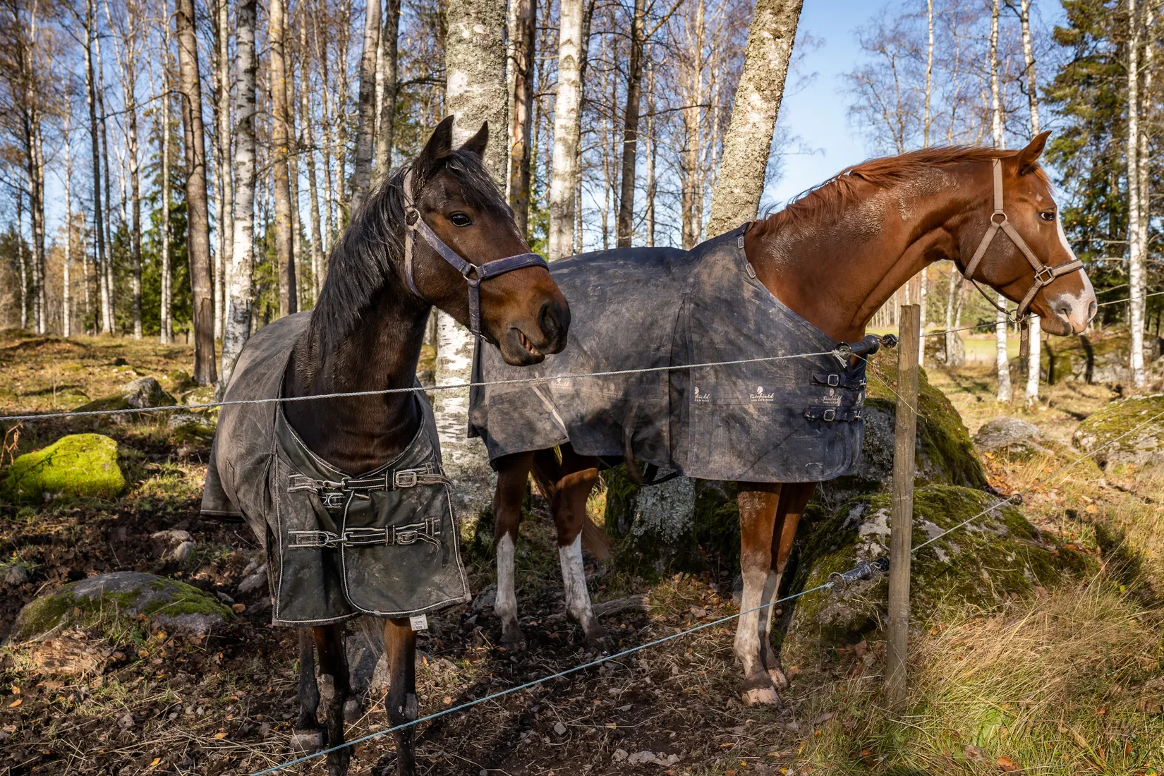 Gård/Skog, Högåsen Skogskärr 266, Högåsen , Karlskoga