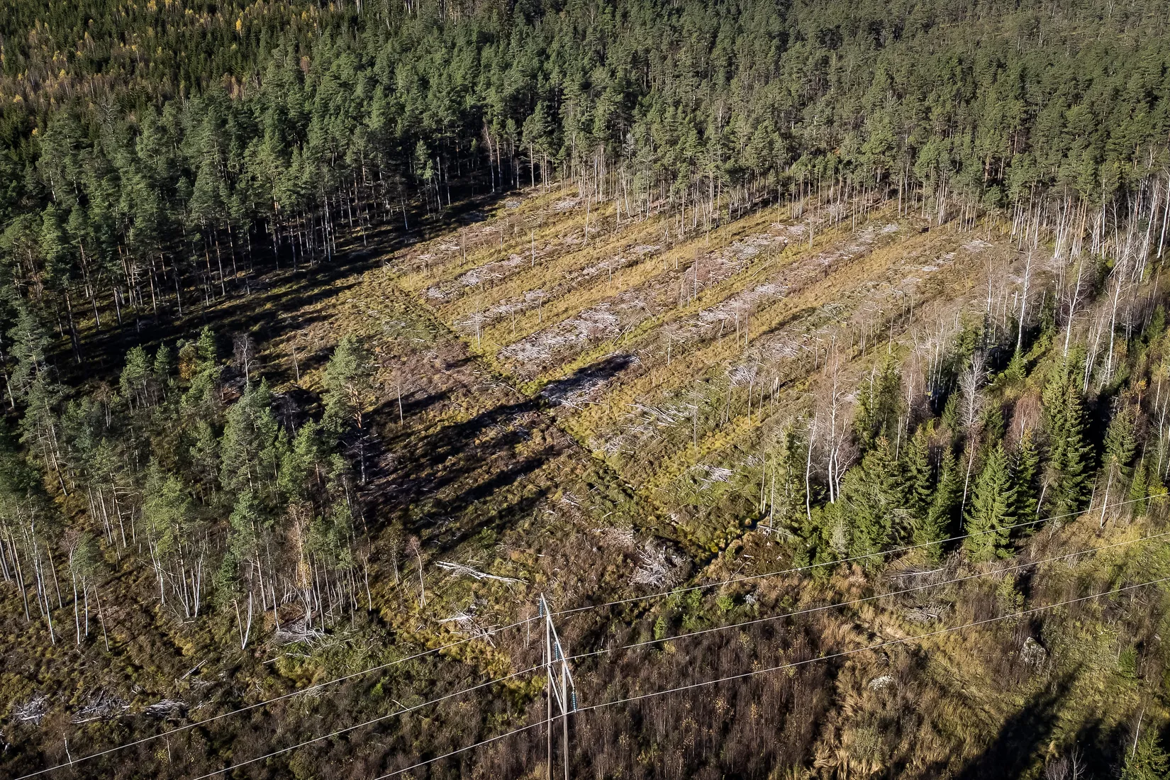 Gård/Skog, Högåsen Skogskärr 266, Högåsen , Karlskoga