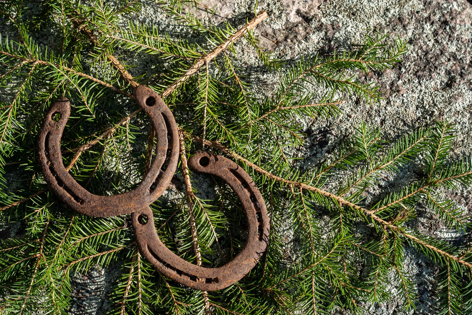 Gård/Skog, Högåsen Skogskärr 266, Högåsen , Karlskoga