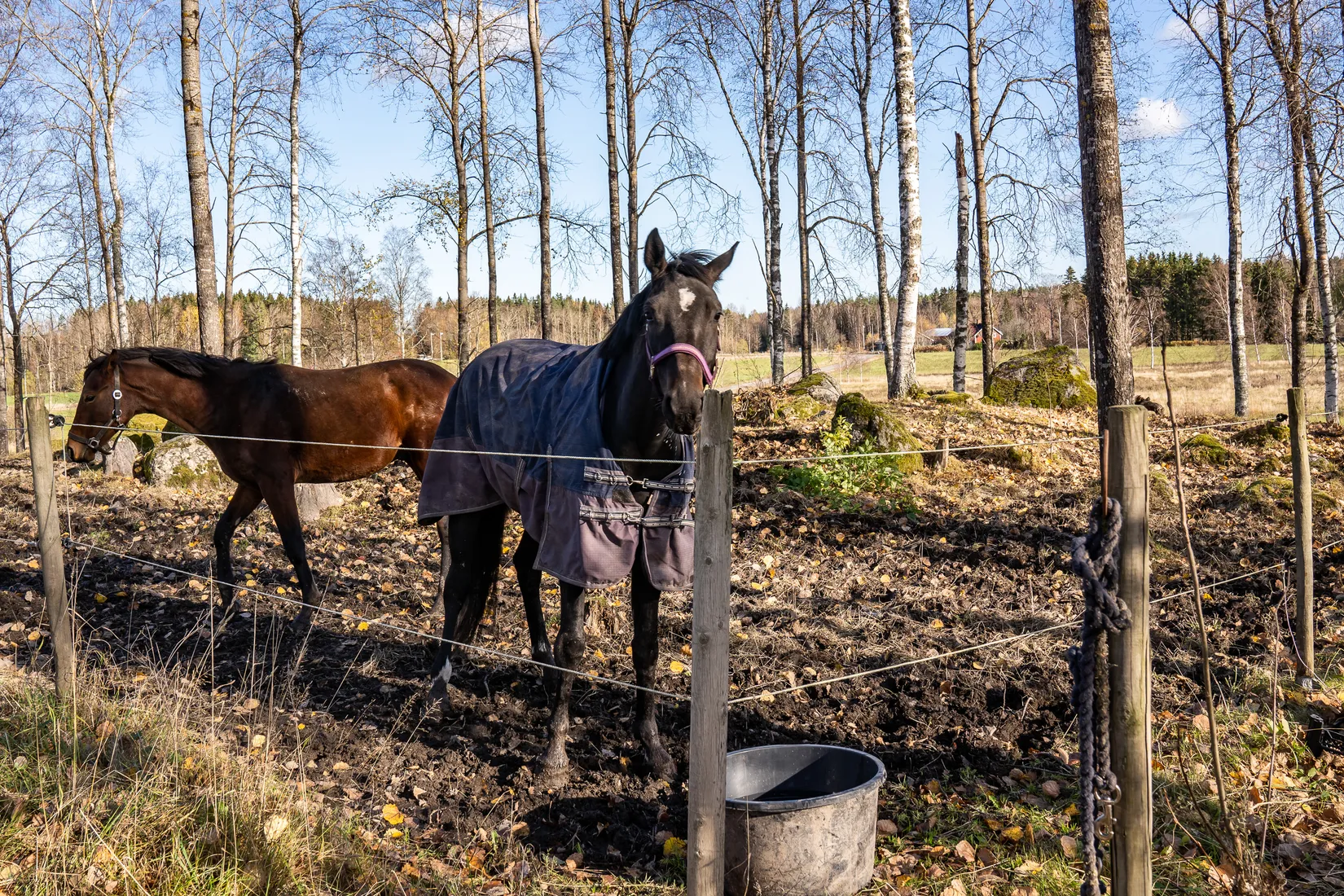 Gård/Skog, Högåsen Skogskärr 266, Högåsen , Karlskoga