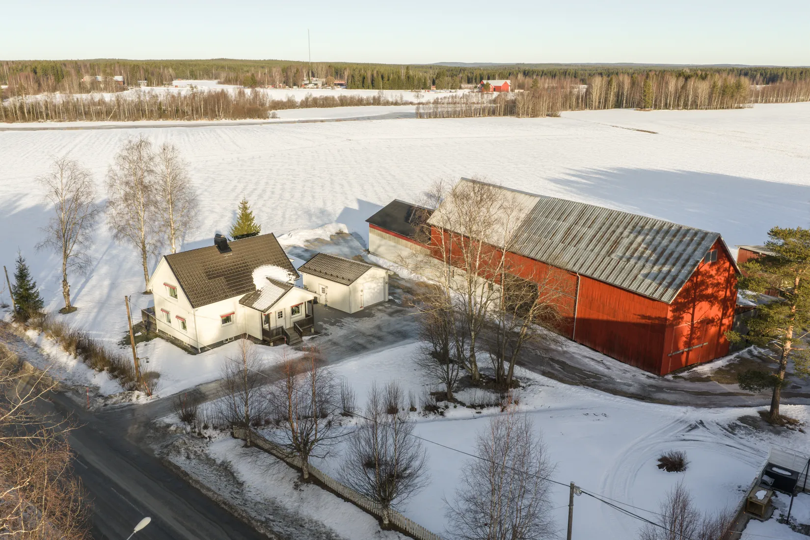 Gård/Skog, Hjoggböle 157, hjoggböle, Skellefteå