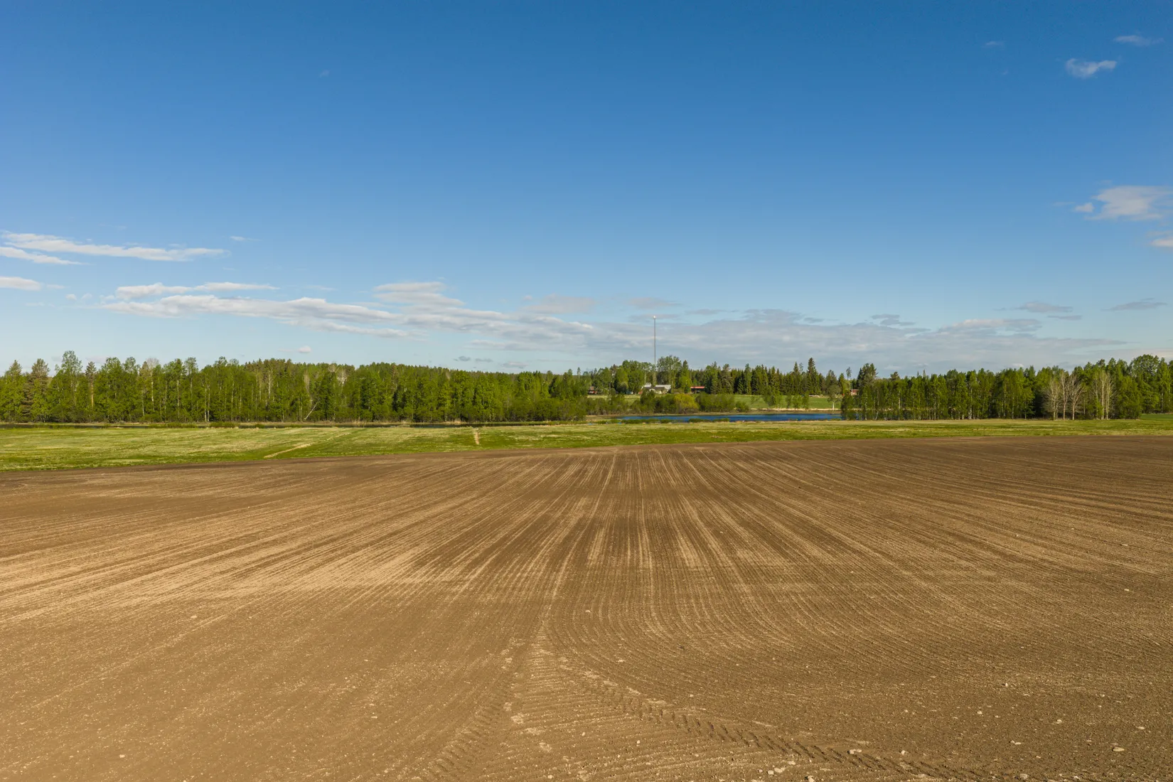 Gård/Skog, Hjoggböle 157, hjoggböle, Skellefteå