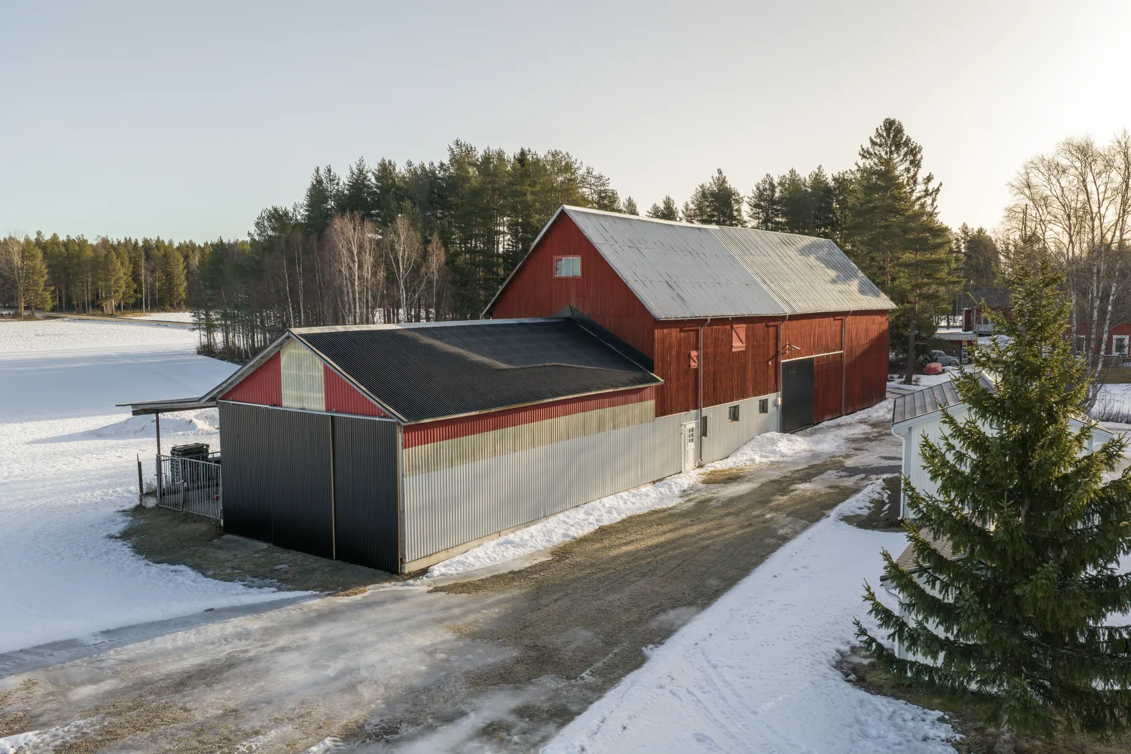 Gård/Skog, Hjoggböle 157, hjoggböle, Skellefteå