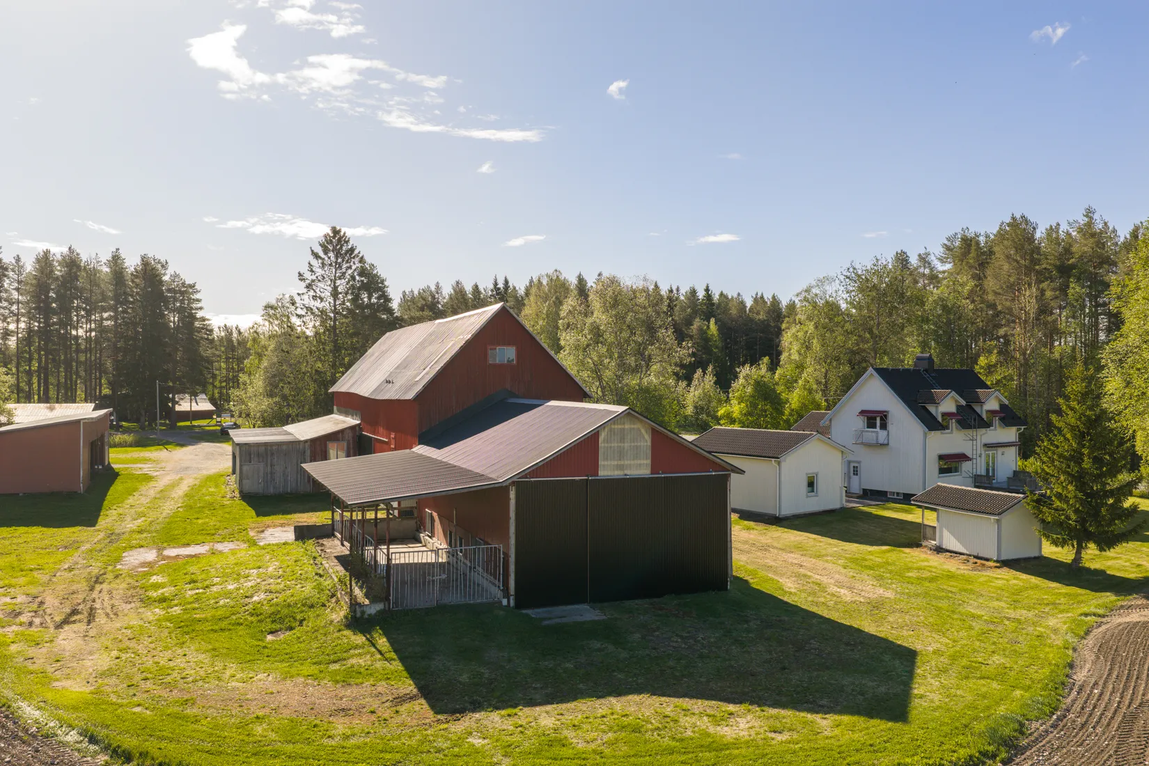 Gård/Skog, Hjoggböle 157, hjoggböle, Skellefteå