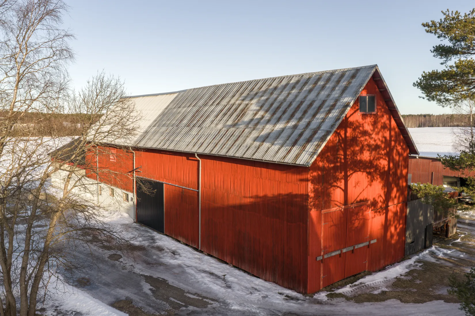 Gård/Skog, Hjoggböle 157, hjoggböle, Skellefteå