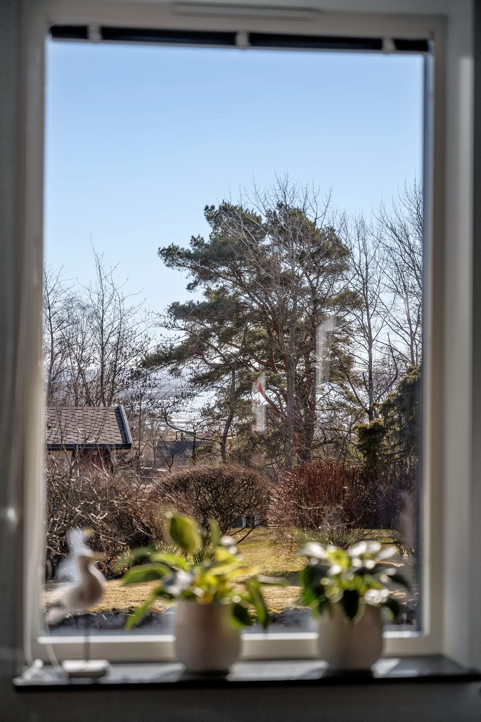 Villa, Grimsholmsvägen 9, Grimsholmen, Falkenberg