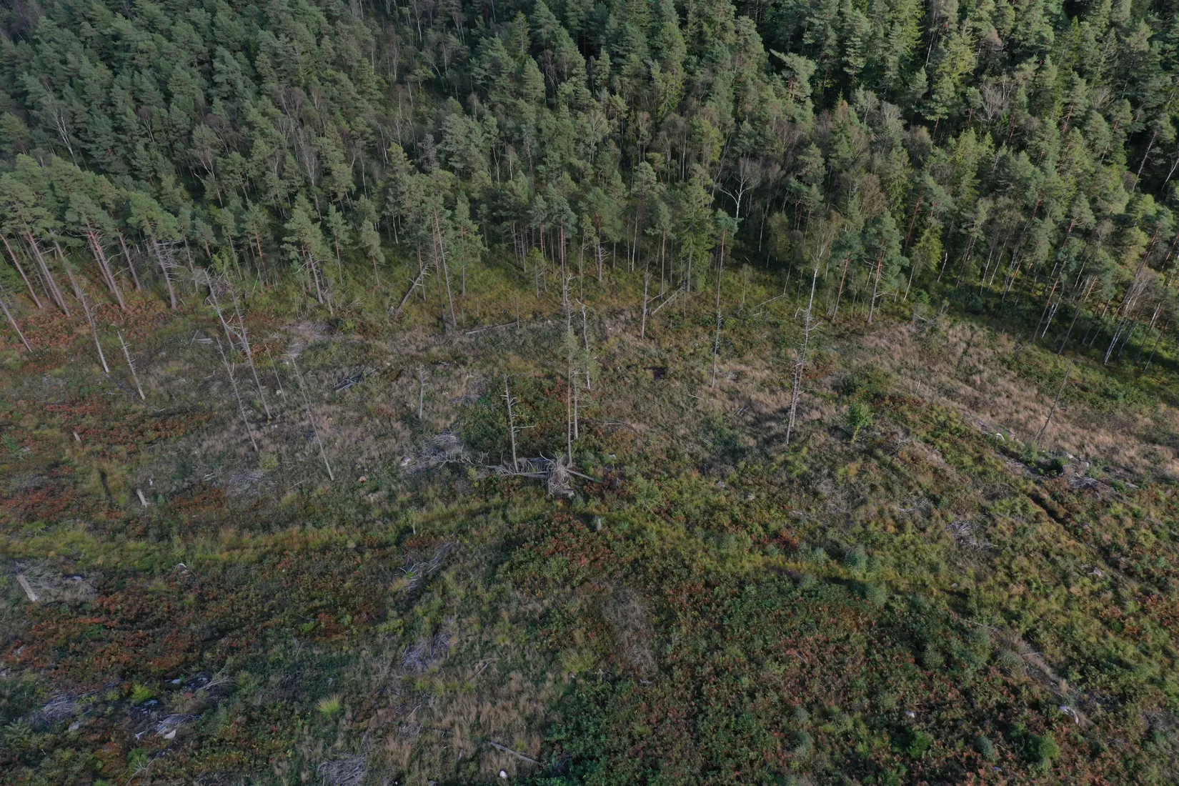 Tomt, Övre Uppegårdsvägen 13 Utblicken inflyttningsklart 2026, Landvetter, Härryda