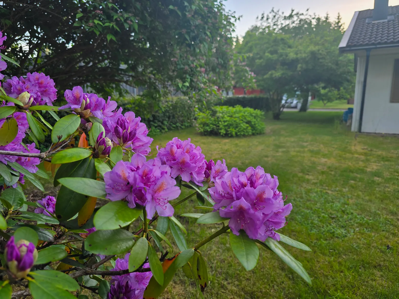Villa, Norrabergsgatan 26, Annelund, Ljungby