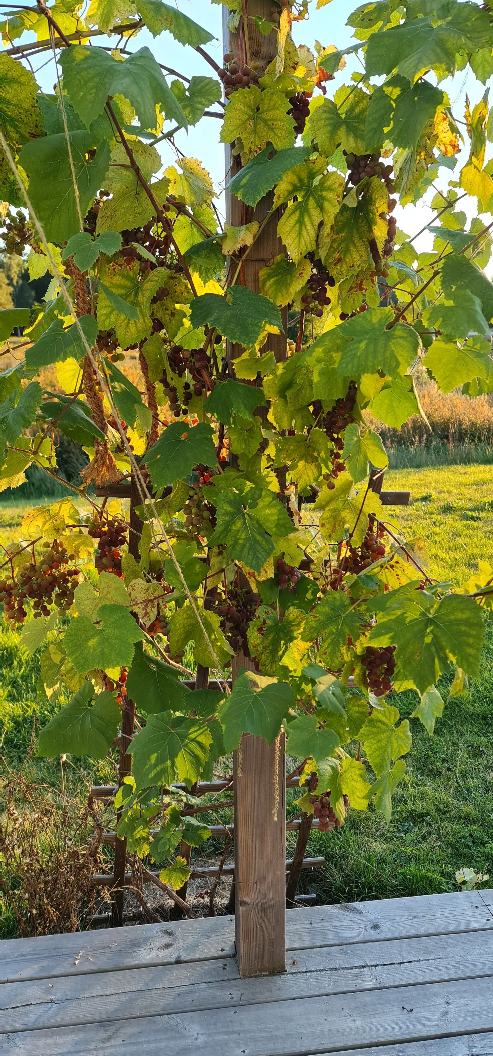 Villa, Björnhuvudvägen 36, Björnhuvud, Österåker