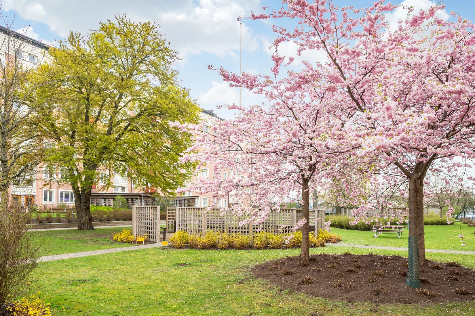 Bostadsrätt, Ellstorpsgatan 2A, Ellstorp, Malmö