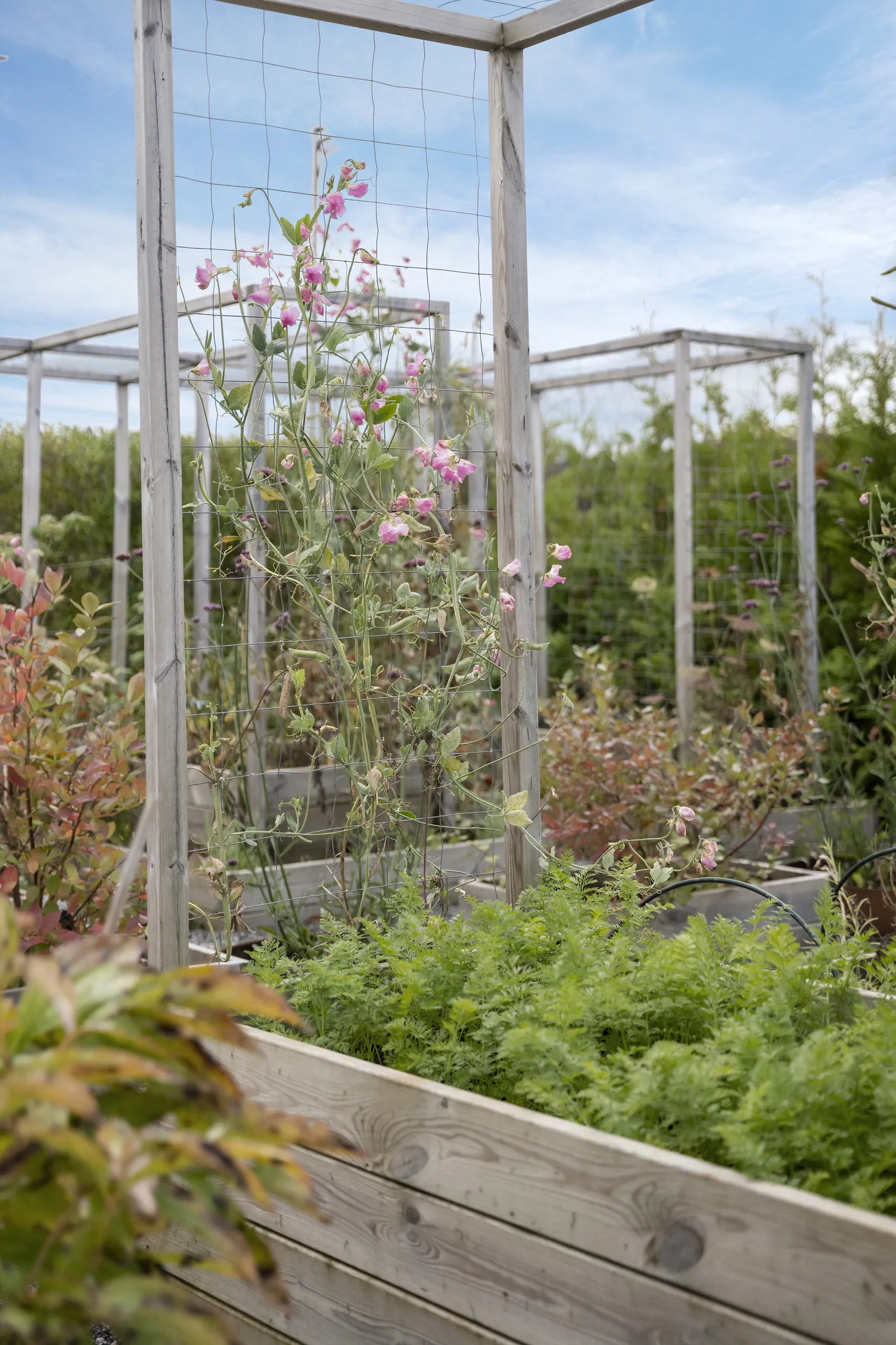 Villa, Häggvägen 3, Nygård, Lilla Edet