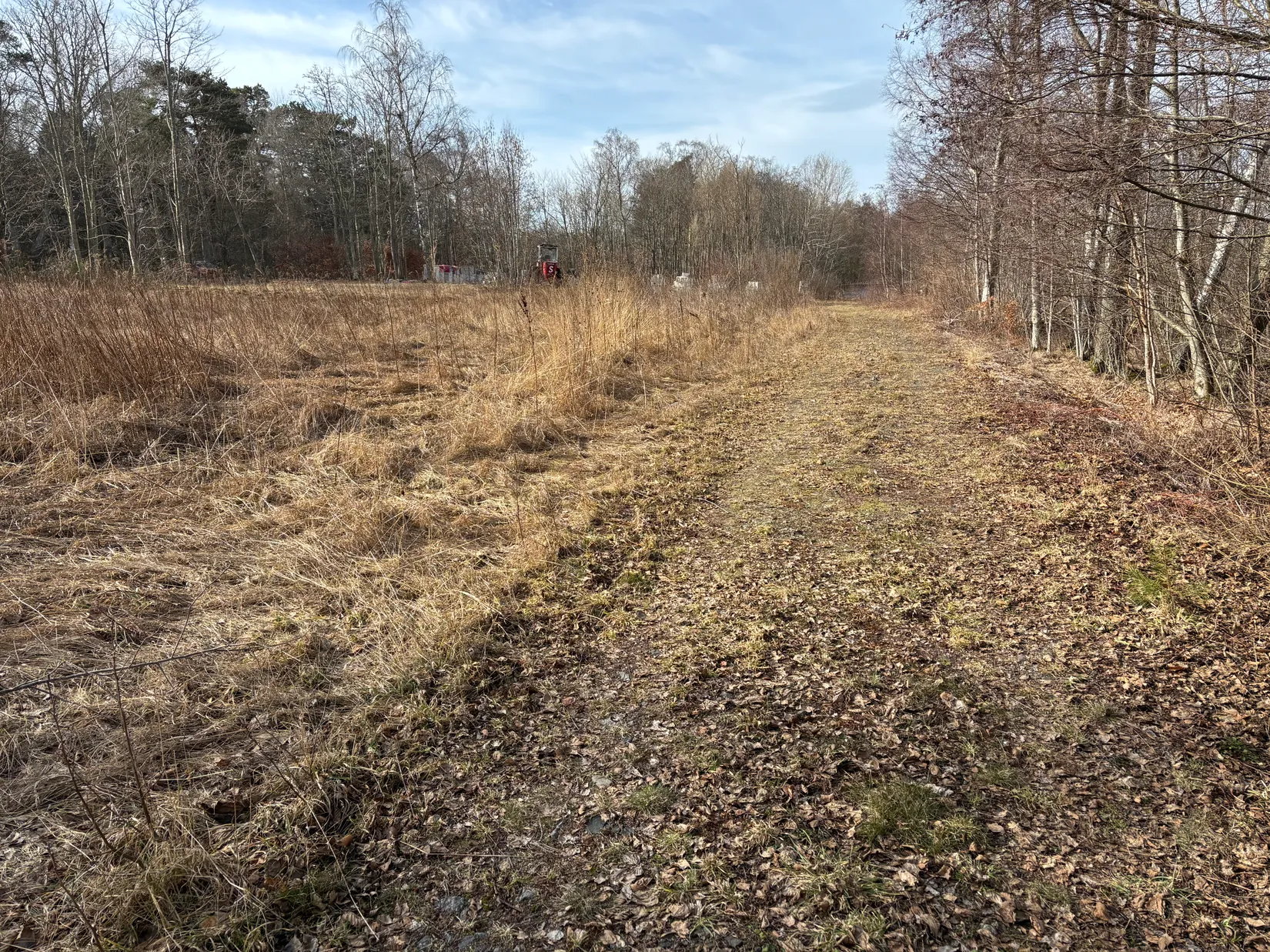 Tomt, Dybäck 42:70, Bingsmarken, Skurup