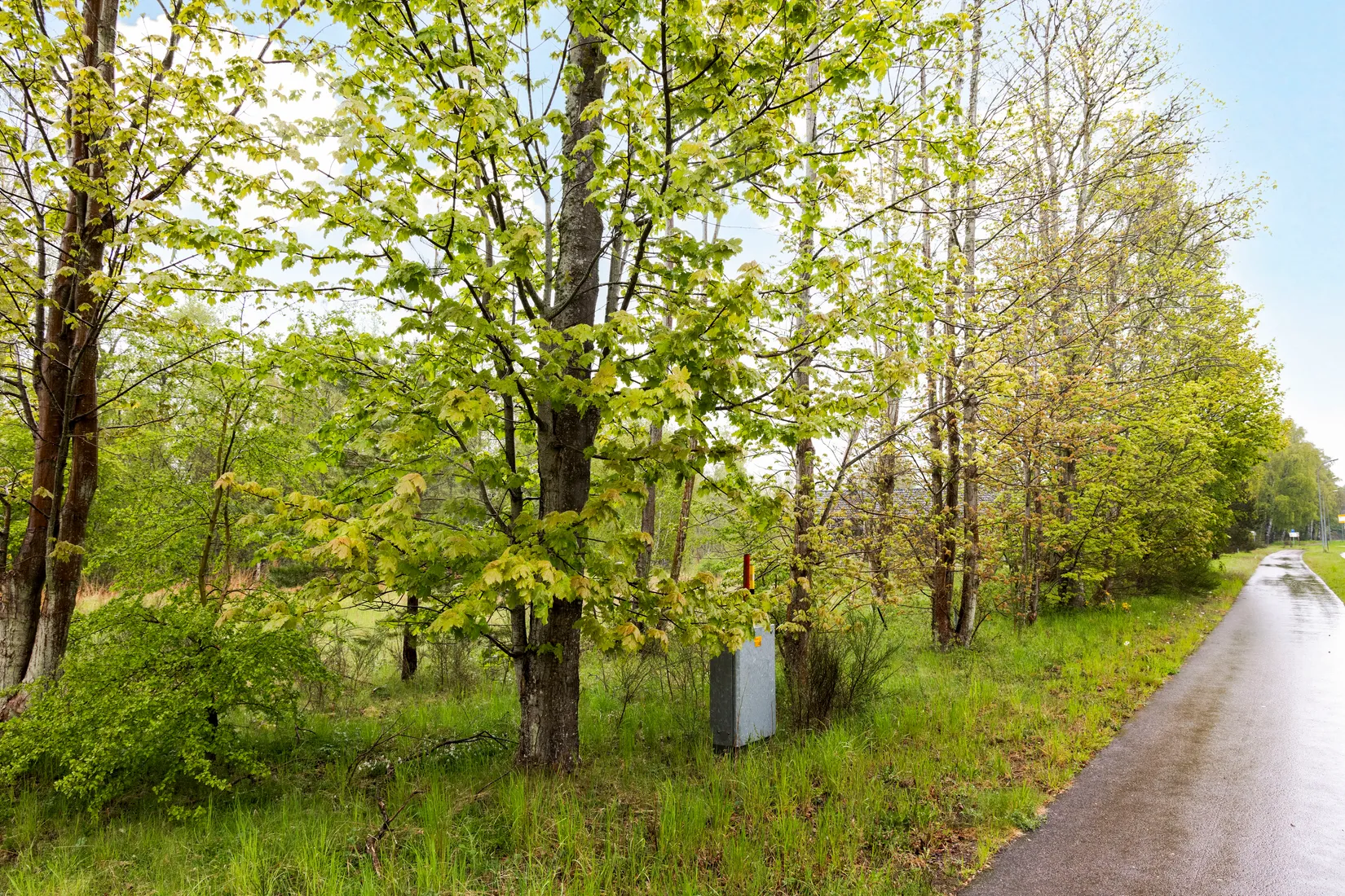 Tomt, Dybäck 42:70, Bingsmarken, Skurup