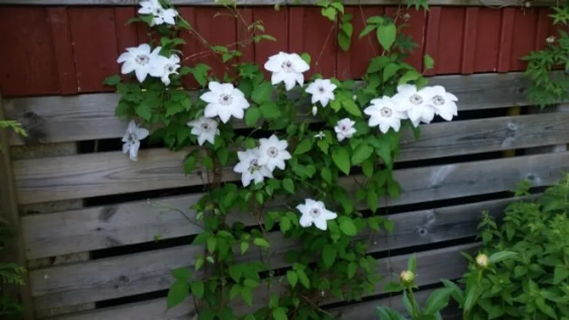 Villa, Sommarbrisvägen 5, Sundsta, Norrtälje