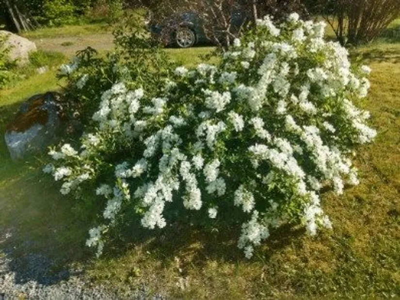 Villa, Sommarbrisvägen 5, Sundsta, Norrtälje