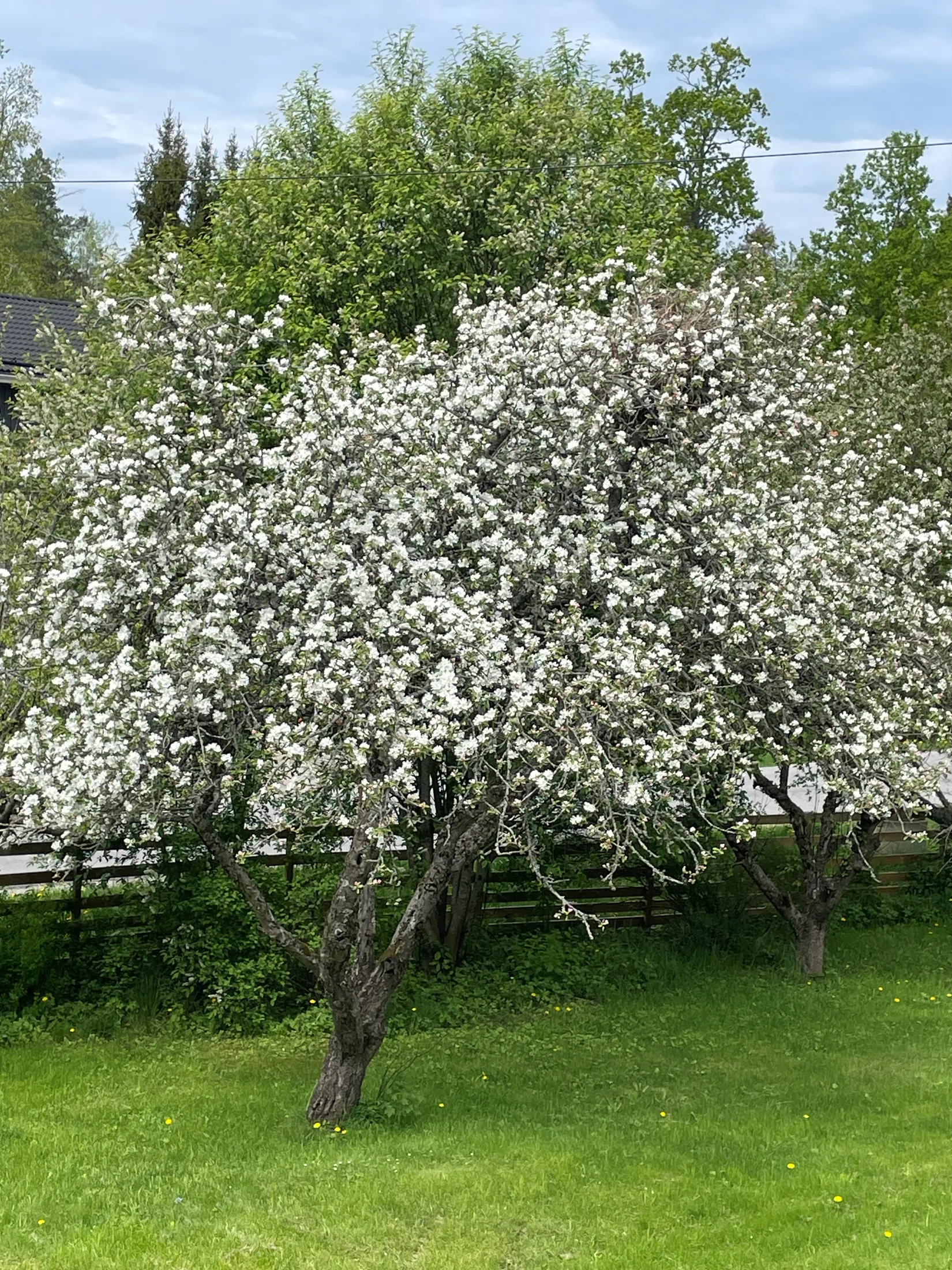 Villa, Myggvägen 3, Raksta/Solberga/Bergholm, Tyresö