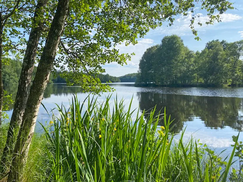 Fritidshus, Kolonivägen 12, Hässleholm