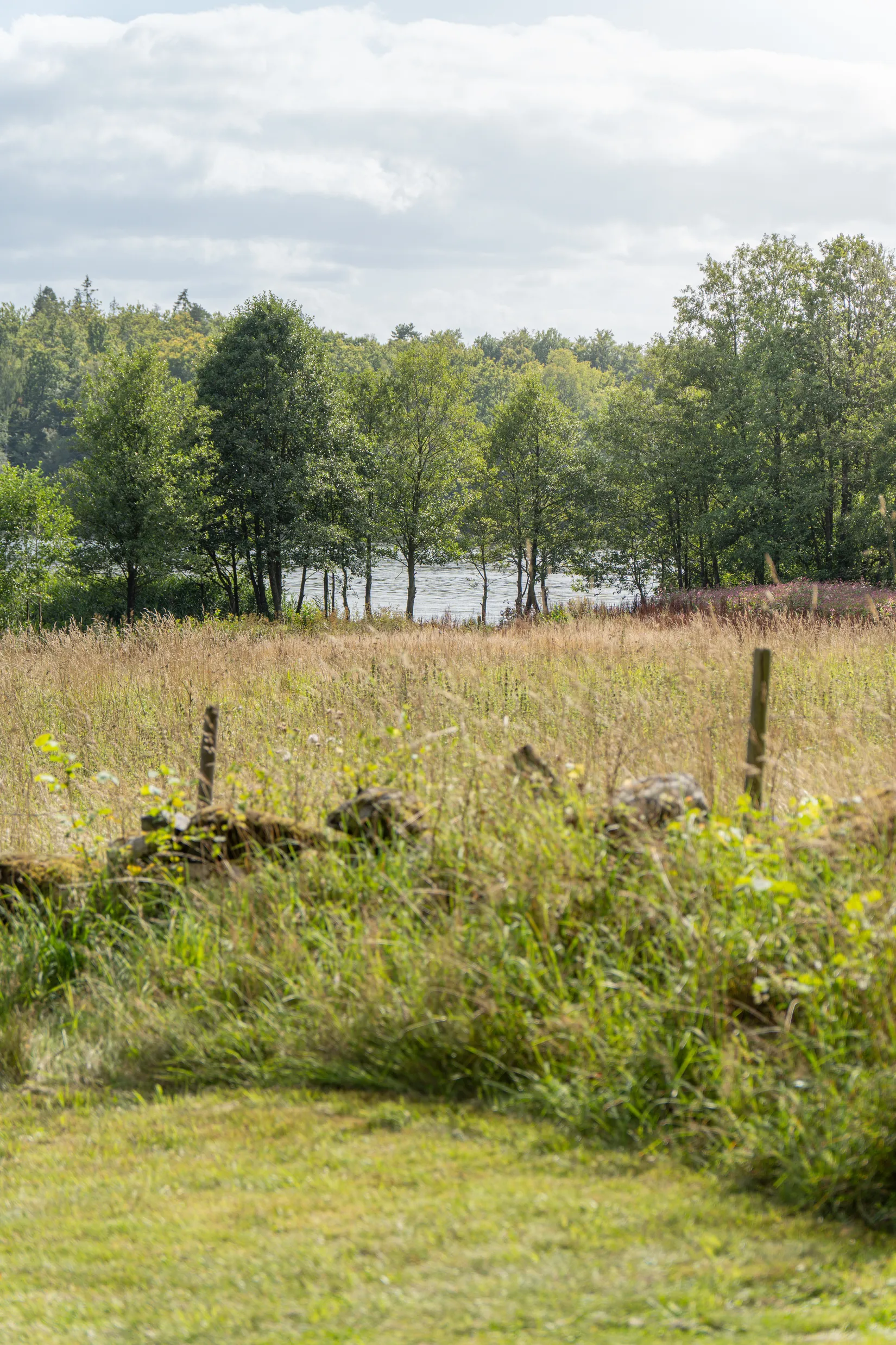 Fritidshus, Kolonivägen 12, Hässleholm