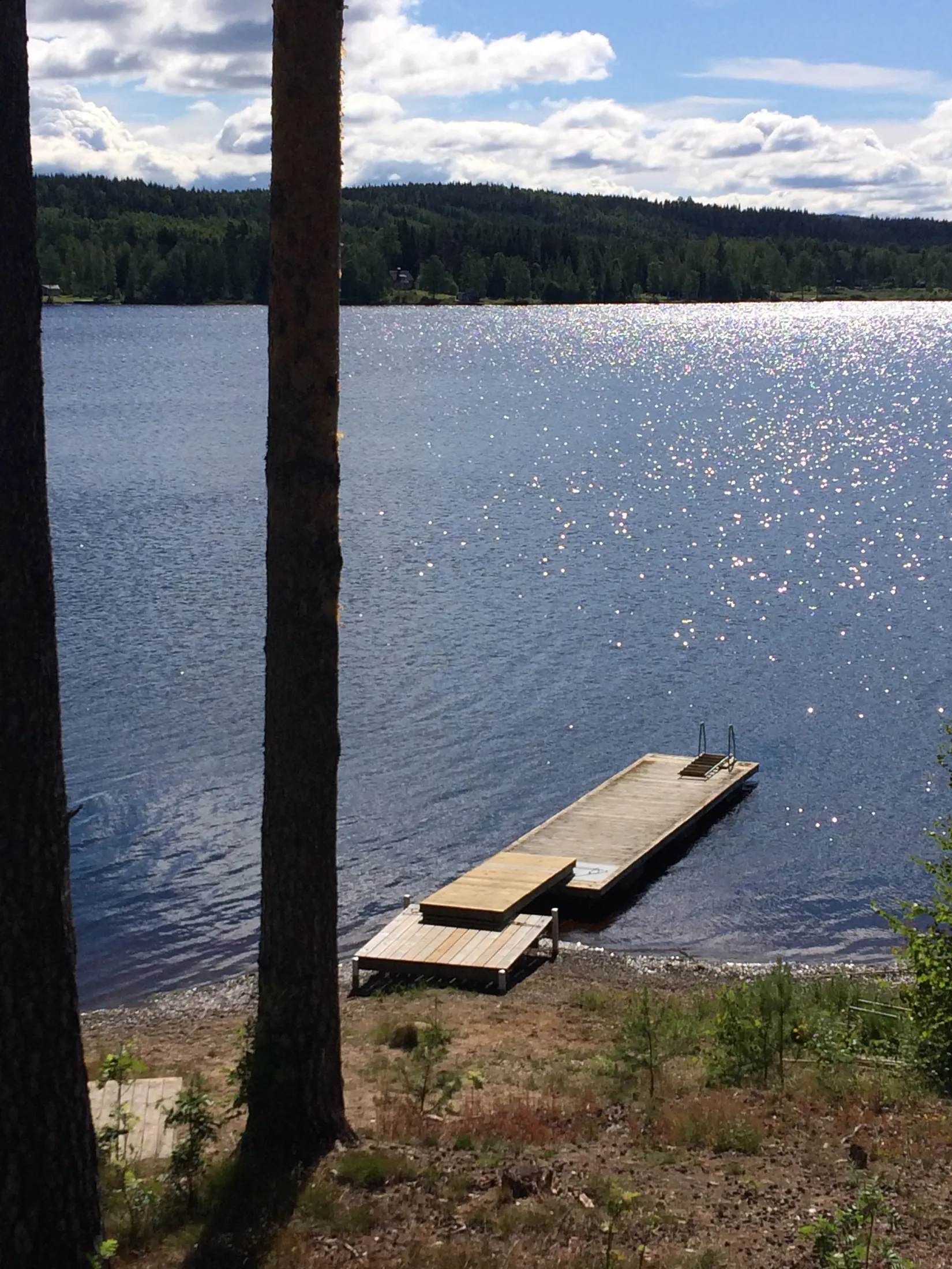 Fritidshus, Lillviksvägen 29, Torsby