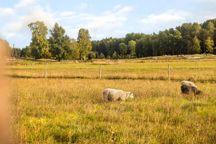 Bostadsrätt, Klarabergsvägen 20B, Vendelsömalm, Haninge