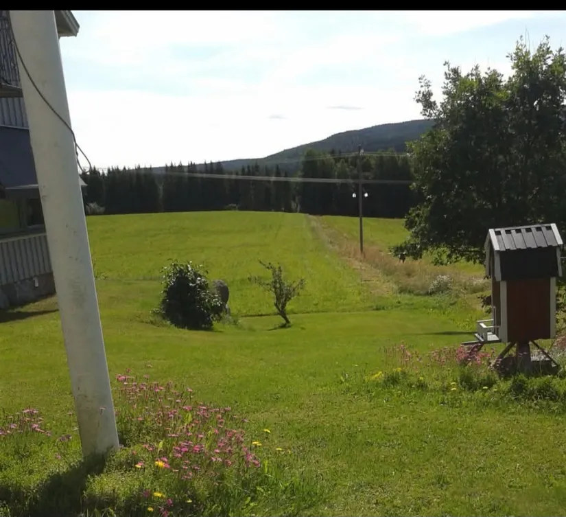 Gård/Skog, Skureå 233, Sidensjö, Örnsköldsvik