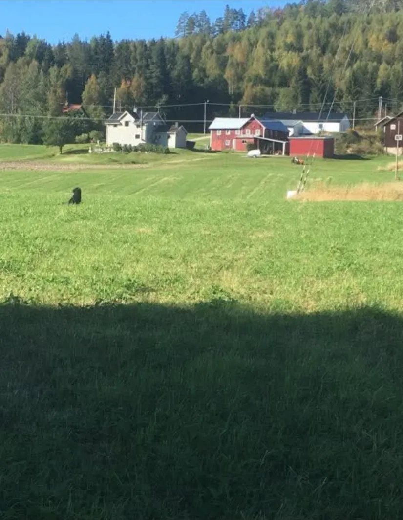 Gård/Skog, Skureå 233, Sidensjö, Örnsköldsvik