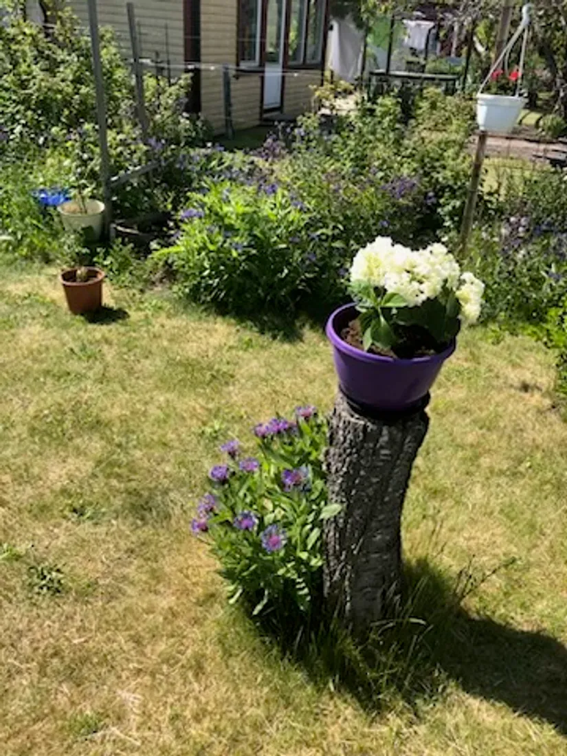 Fritidshus, Astervägen 228, Tunabackar, Uppsala