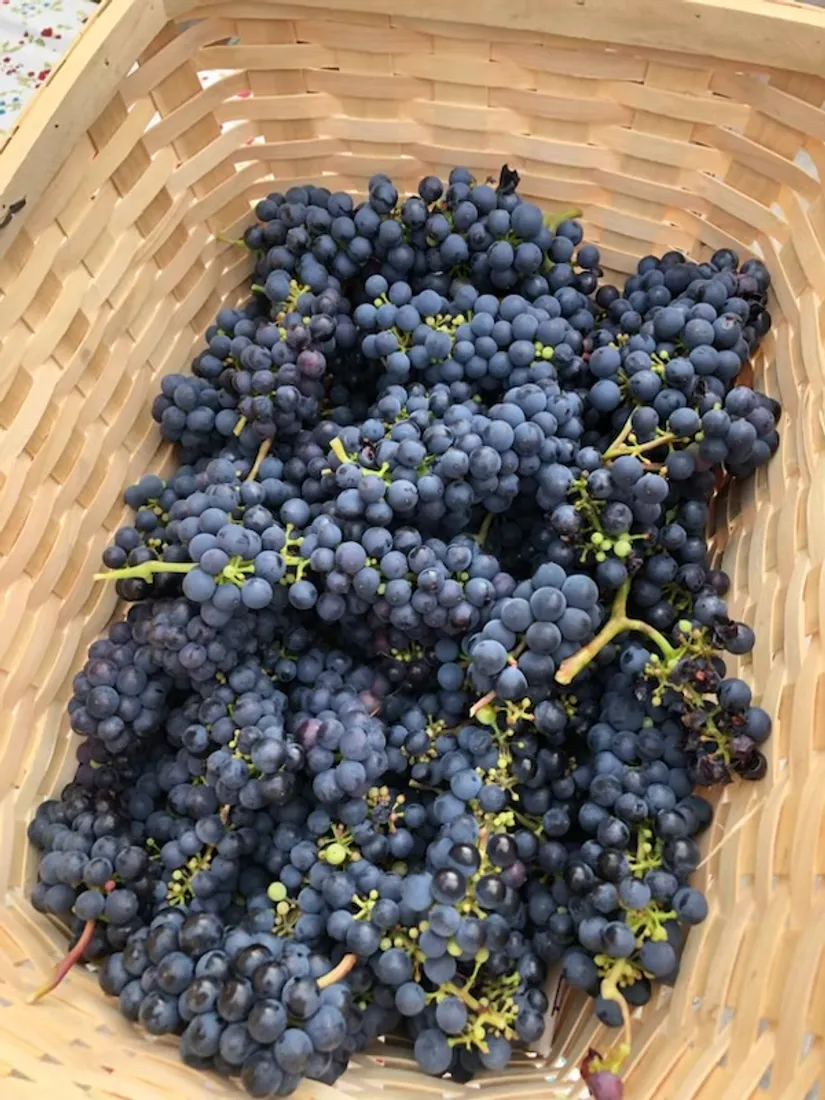 Fritidshus, Astervägen 228, Tunabackar, Uppsala