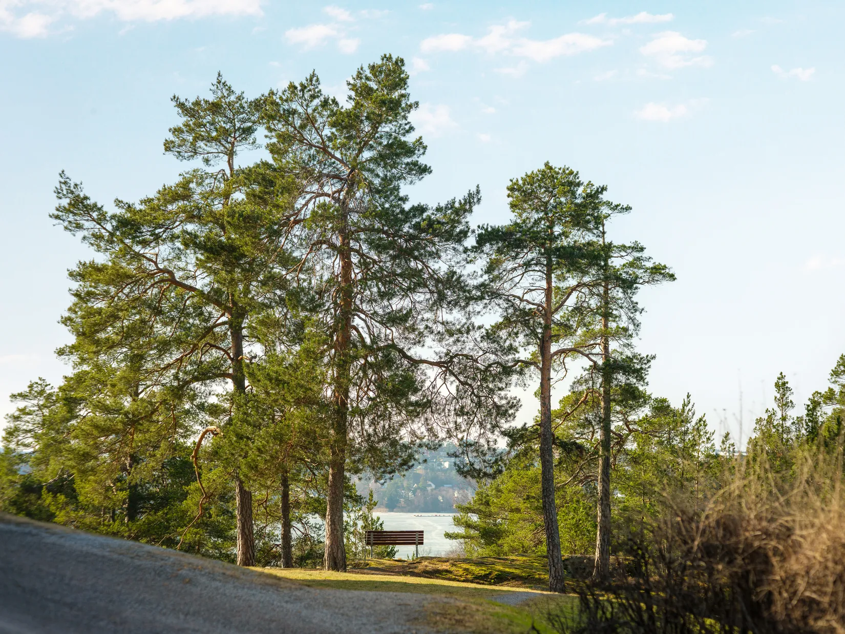 Bostadsrätt, Sidensvansvägen 77, Sjöberg, Sollentuna