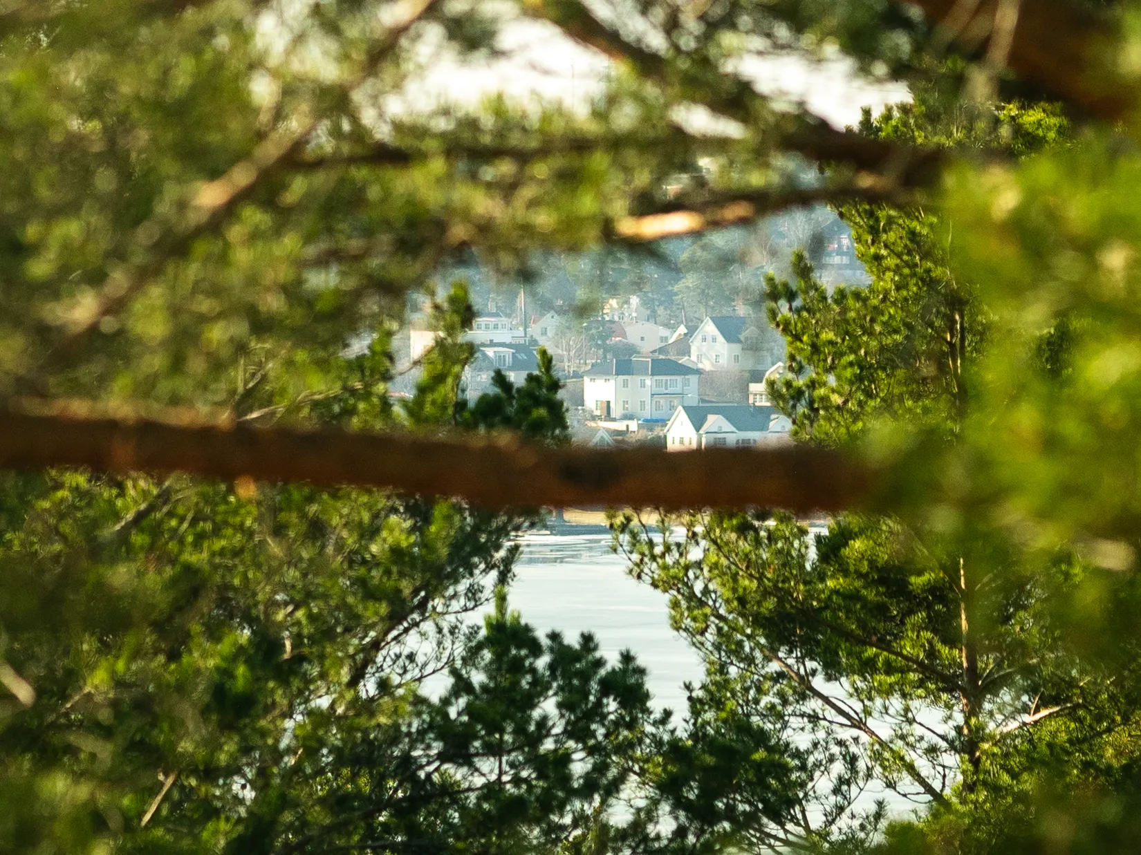 Bostadsrätt, Sidensvansvägen 77, Sjöberg, Sollentuna