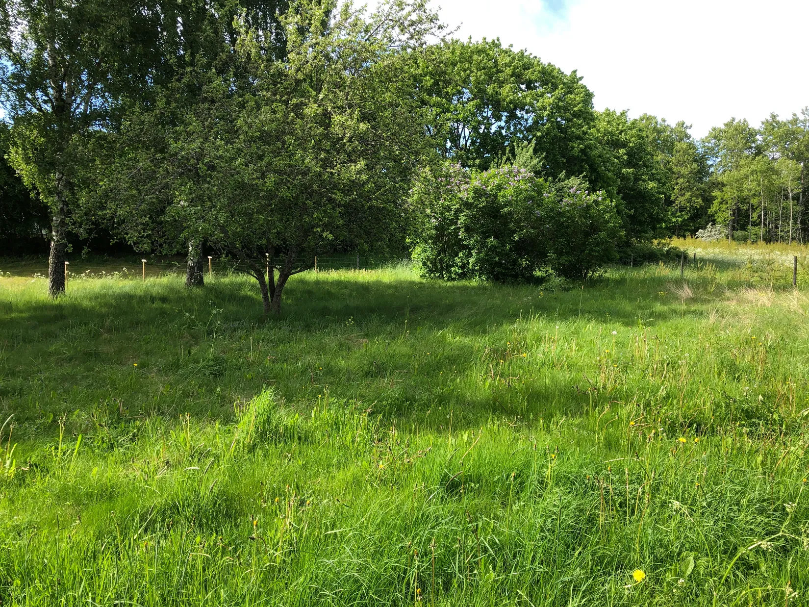 Tomt, Björkkullavägen 9B, Väddöviken, Norrtälje